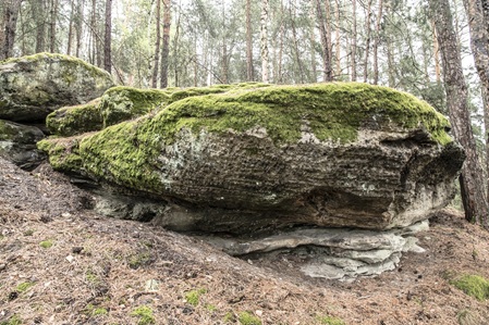Bockersche Schweiz - 18.04.2025