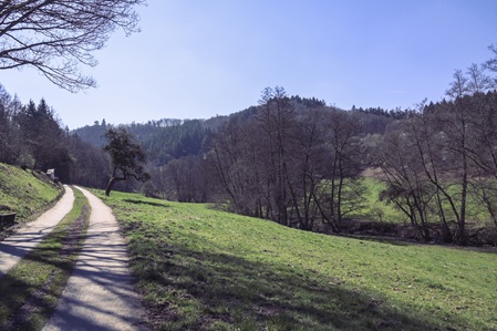 Lützer Schweiz - 05.04.2025