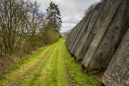 Maringer Schweiz - 03.04.2026