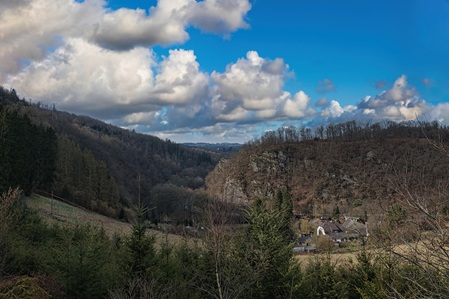 Mettelshahner Schweiz - 16.02.2025