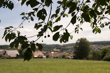 Saarländische Schweiz - 04.07.2022