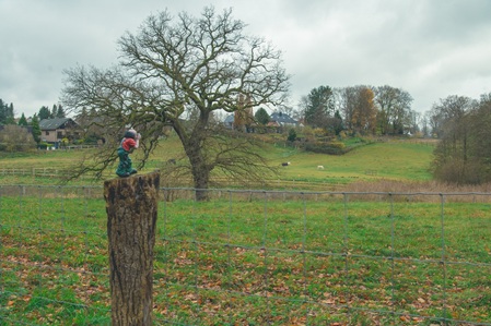 Stormarnsche Schweiz - 19.11.2021