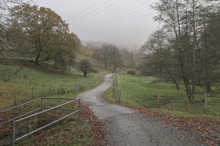 Suhler Schweiz - 02.11.2024
