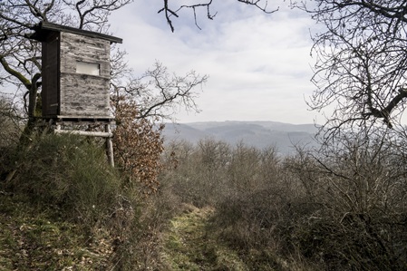 Sulzbacher Schweiz - 24.01.2026