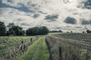 Wanderweg Bockholmer Schweiz