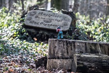 Rastplatz Damwildgehege Oynhausen