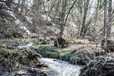 Mittelbach Gohfelder Schweiz