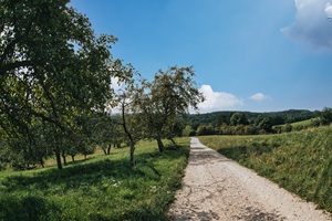 Wanderweg Altdorfer Schweiz