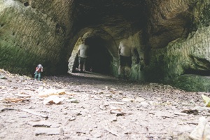 Altdorfer Schweiz - 15.08.2025