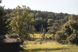 Ausblick Altdorfer Schweiz