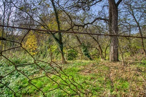 Blick in die Altenburger Schweiz