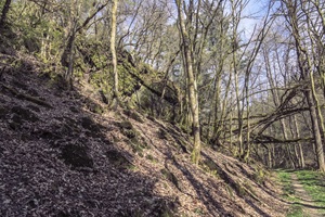 Felsen Wanderweg Altlayer Schweiz
