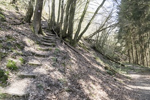Altlayer Schweiz