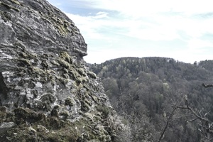 Altlayer Schweiz - 05.04.2025