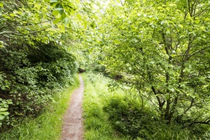 Barsinghäuser Schweiz Wanderweg