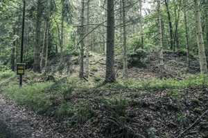 Barsinghäuser Schweiz
