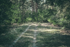 Wanderweg Berliner Schweiz Gosen