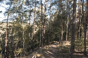 Wanderweg Gosen Berliner Schweiz