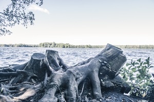 Seddinsee Berliner Schweiz
