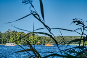 Seddinsee Gosen