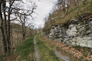 Bernkasteler Schweiz Wanderweg