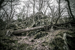 Bernkasteler Schweiz