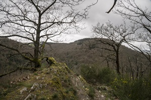 Bernkasteler Schweiz Ausblick