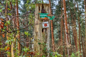 Wanderweg Hinweisschild Bockersche Schweiz