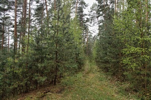 Wanderweg Bockersche Schweiz
