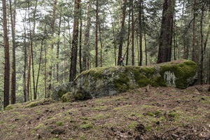 Felsen Bockersche Schweiz