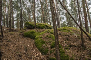 Bockersche Schweiz