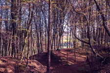 Aussicht Borgloher Schweiz