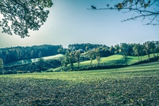 Aussicht Borgloher Schweiz