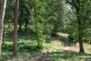 Wanderweg Borsteler Schweiz