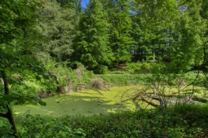 Breddiner Schweiz
