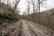 Weg zur Briedeler Schweiz