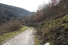 Briedeler Schweiz