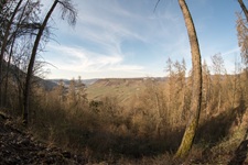 Ausblick Briedeler Schweiz
