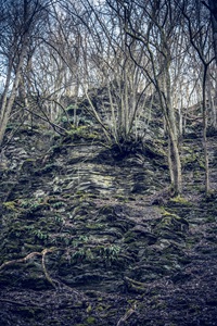 Felsen Briedeler Schweiz
