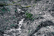 Bachlauf Briedeler Schweiz