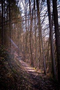 Höhenpfad Briederner Schweiz