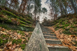 Treppe Bucksche Schweiz