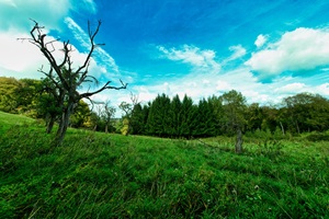 Wanderweg Caan