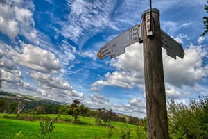 Wegweiser Caaner Schweiz
