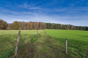 Weg in die Calauer Schweiz
