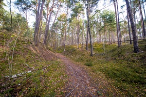 Calauer Schweiz - 13.11.2025
