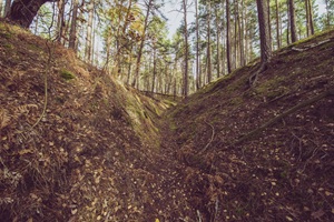 Calauer Schweiz