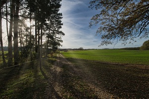 Wanderweg Calauer Schweiz