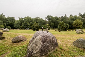 Findlingspark Clenzer Schweiz