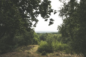 Ausblick Günneiberg Clenzer Schweiz